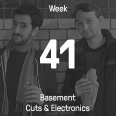 Week 41 / 2014 - Basement Cuts & Electronics