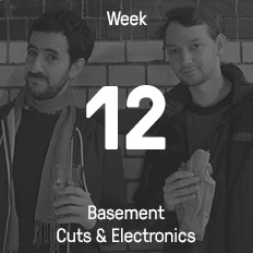 Week 12 / 2015 - Basement Cuts & Electronics
