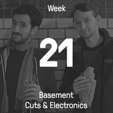 Week 21 / 2015 - Basement Cuts & Electronics