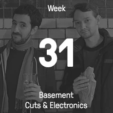 Week 31 / 2015 - Basement Cuts & Electronics
