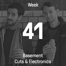 Week 41 / 2015 - Basement Cuts & Electronics