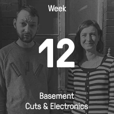 Week 12 / 2016 - Basement Cuts & Electronics