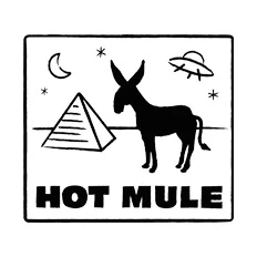 Louis Hautemule - HHV Mag Artist & Partner Vinyl Charts aus 2022