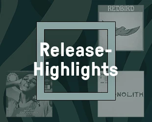 Release-Highlights 2023)