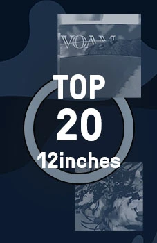 Top 20 12inches