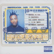 Ol Dirty Bastard - Return to the 36 chambers: The dirty version