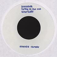 Koushik - Lying In The Sun
