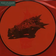 Alice In Chains - The Devil Put Dinosaurs Here Picture Disc Edition