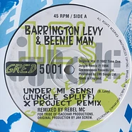 Barrington Levy & Beenie Man - Under Mi Sensi