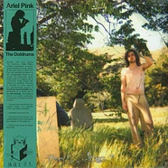 Ariel Pink - The Doldrums