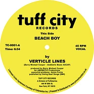Verticle Lines - Beach Boy Record Store Day 2022 Vinyl Edition