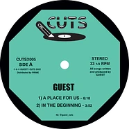 Guest - A Place For Us EP