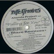 The Ananda Project Featuring Terrance Downs - Falling For You (Part II)