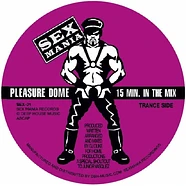 Pleasure Dome - 15 Minutes In The Mix