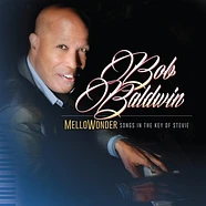Bob Baldwin - Mellowonder- Songs In The Key Of Stevie