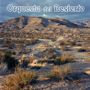 Orquesta Del Desierto - Orquesta Del Desierto Black Vinyl Edition