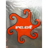 Reef - Good Feeling