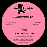 Raymond Owen - Detachment EP