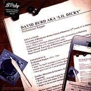 Lil Dicky - Professional Rapper