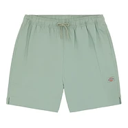 Dickies - Pelican Rapids Shorts