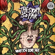 The Story So Far - What You Don't See