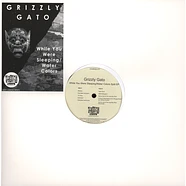 Grizzly Gato - While You Were Sleeping / Water Colors Split EP