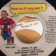 Anthony Red Rose, Mad Cobra - Pick It Up