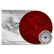 Sepultura - Against - Vinyl LP - 1998 - EU - Reissue | HHV
