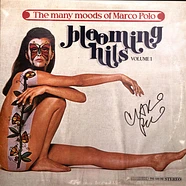Marco Polo - The Many Moods Of Marco Polo Volume 1