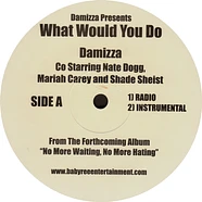 Damizza Co Starring Nate Dogg, Mariah Carey And Shade Sheist - What Would You Do