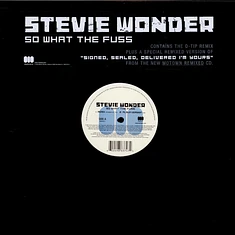 Stevie Wonder - So What The Fuss