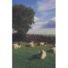 The KLF - Chillout