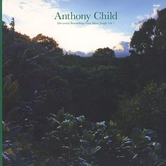 Anthony Child (Surgeon) - Electronic Recordings From Maui Jungle Volume 1