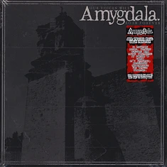 Amygdala - Our Voices Will Soar Forever