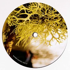 Matt Thibideau - Subduction & Shadows Clear Yellow Vinyl Edition