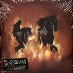 The Besnard Lakes - Are The Dark Horse
