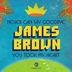 James Brown - Never Can Say Goodbye