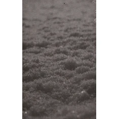 Paysage D'hiver - Schnee