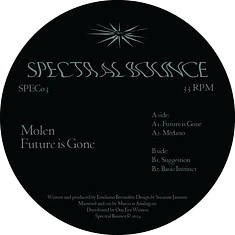 Molen - Future is Gone