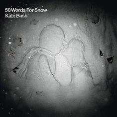 Kate Bush - 50 Words For Snow Polar Edition