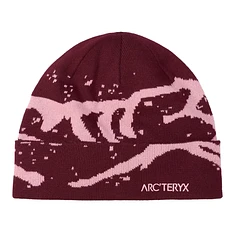 Arc'teryx - Grotto Toque