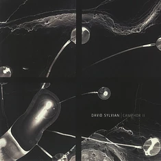 David Sylvian - Camphor II Record Store Day 2025 Edition