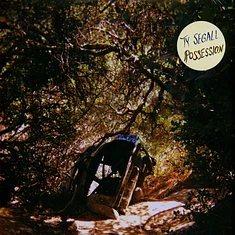 Ty Segall - Possession