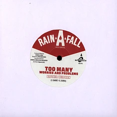 Brother Wildman - Too Many Worries And Problems