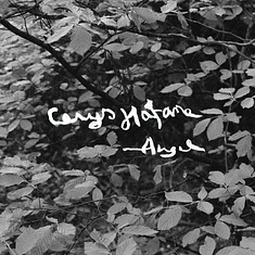 Cerys Hafana - Angel