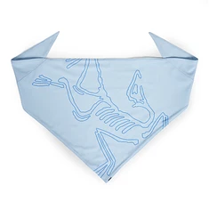 Arc'teryx - Sinsolo Bandana