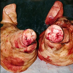 Armand Hammer & The Alchemist - Haram Black Vinyl Edition