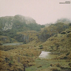 Acid Pauli - Den Mahlstrom Rauf