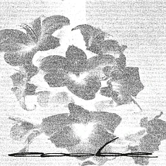 Eoobe - My Love Parade Turned Into A Riot Black Vinyl Edition