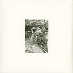 Patrick Lysaght - For The Birds